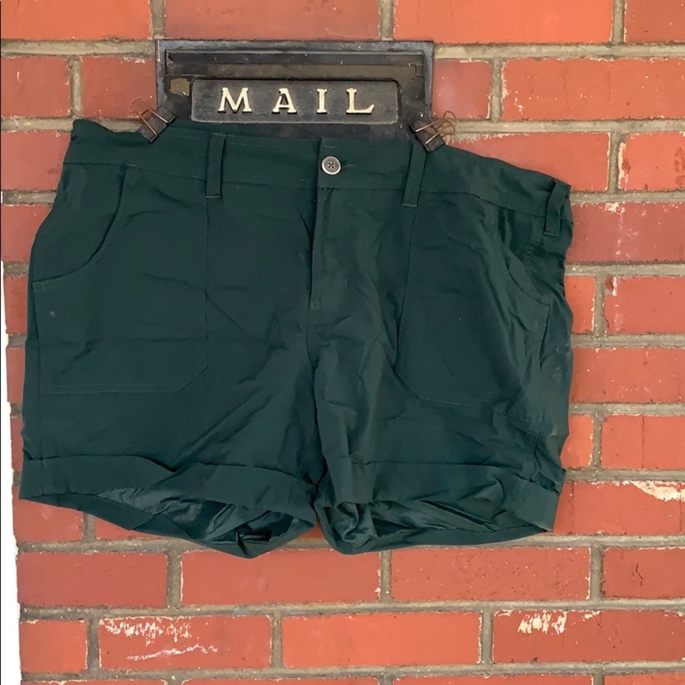 The North Face water repellent shorts